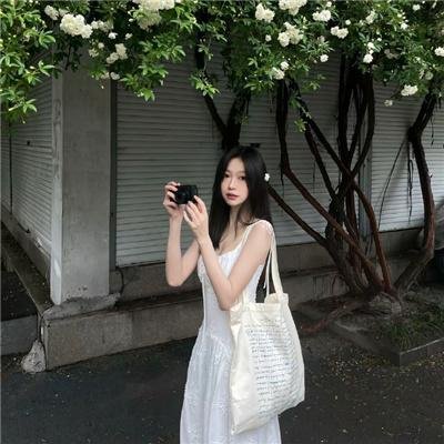 北极大冒险